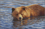 (image for) Summer Swim